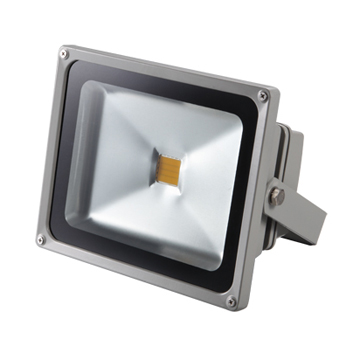 LED Flood Light 