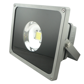 LED Flood Light 