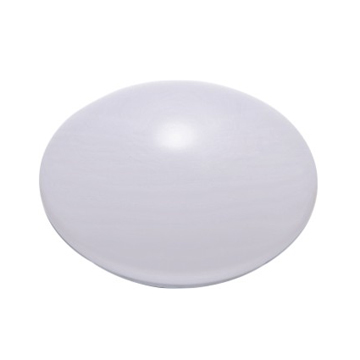 LED Ceiling Light 