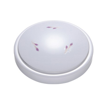 LED Ceiling Light 