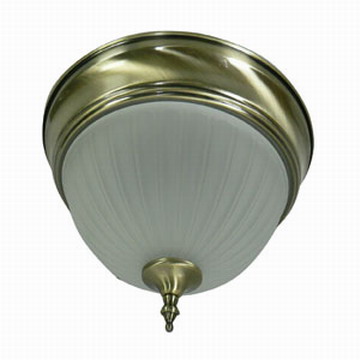 LED Ceiling Light 