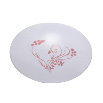 LED Ceiling Light 
